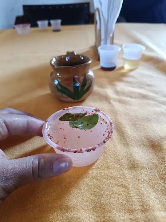 Vaso de curado de pulque servido en la degustación