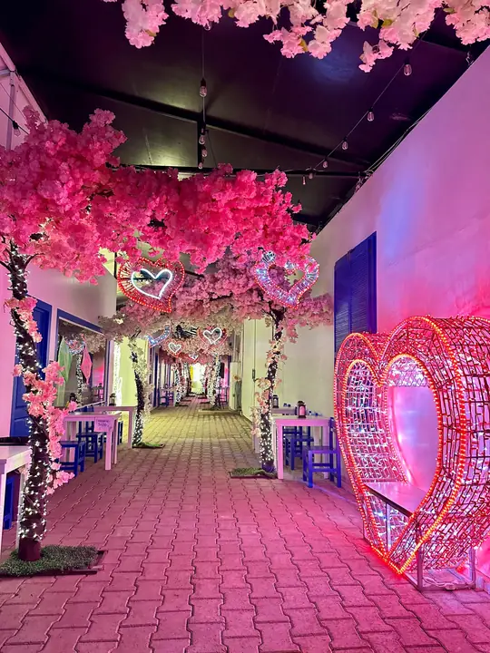 Pasillo de entrada con cerezos y corazón iluminado