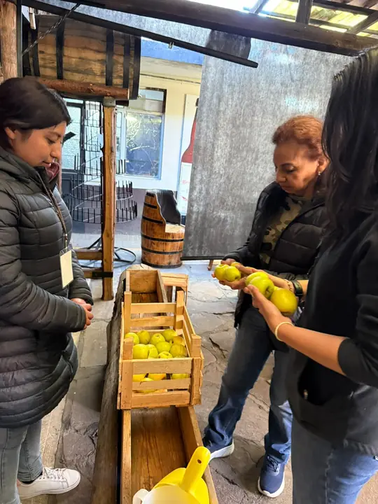 Visitantes seleccionando manzanas